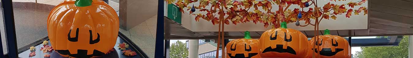 banner pompoen halloween decoratie